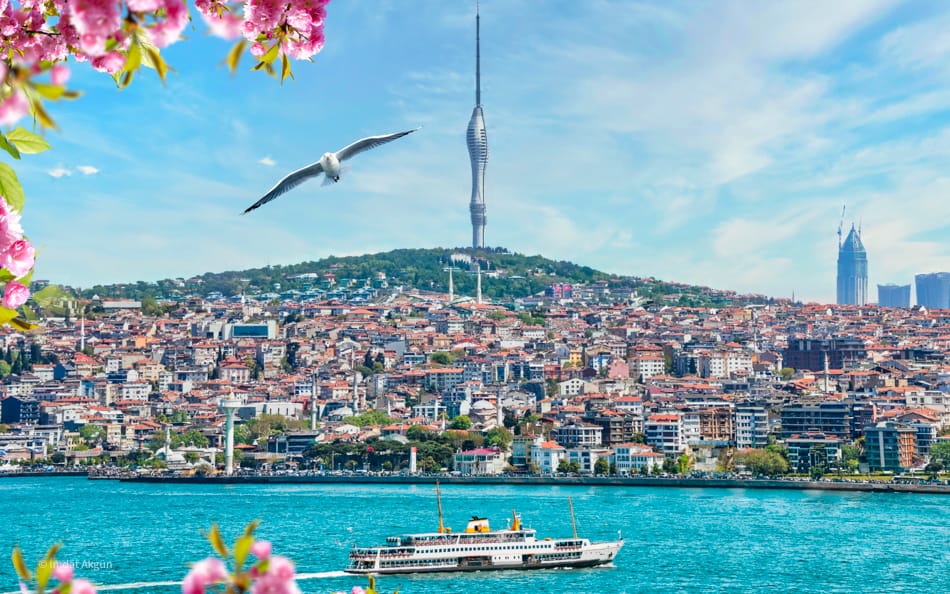 Sanatkarlar Parkı